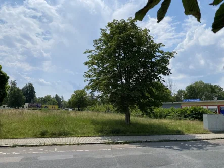 Lucka Baugrundstück - Grundstück kaufen in Lucka - Baugrundstück für Ihr ScanHaus in Lucka