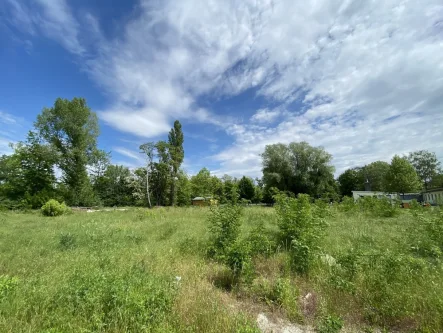 Grundstueck_5-6 - Grundstück kaufen in Braunsbedra / Großkayna - Ruhig, grün und nicht weit zum See! Ihr neues Familiendomizil baut ScanHaus