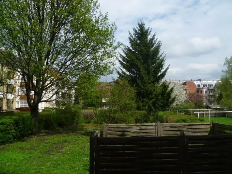 Blick in den Garten