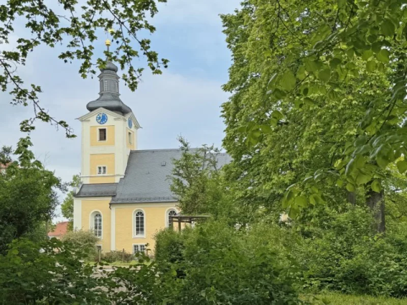 Marienkirche in der Umgebung