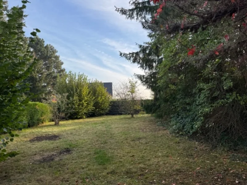 Garten - Haus kaufen in Leipzig-Holzhausen - Wohnen am Stadtrand - grün und herrlich ruhig