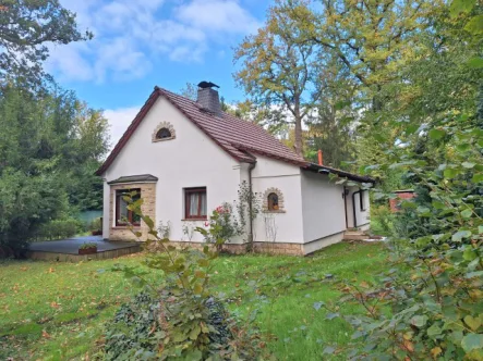 Ansicht - Haus kaufen in Brandis / Waldsteinberg - Wohnen in Waldsteinberg mit Vogelgezwitscher zum Frühstück...