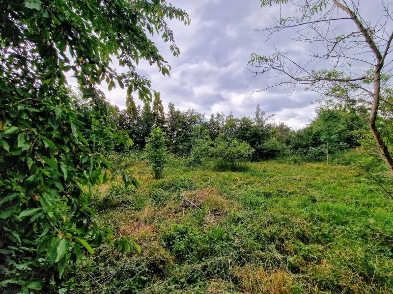 Grundstück - Grundstück kaufen in Landsberg - großes Baugrundstück mit Abrissgebäuden in ruhiger Lage von Landsberg OT Klepzig