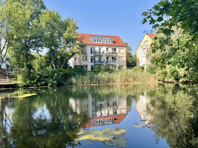 Rückseite - Wohnung kaufen in Halle (Saale) - Idyllische Lage - zentral und im Grünen