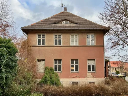 Vorderansicht - Haus kaufen in Bernburg - Villa im Dornröschenschlaf mit viel Potential