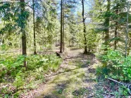 Waldweg zur "kleinen Bastei"