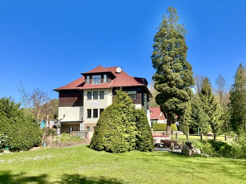 Blick aus dem Garten - Haus kaufen in Hohnstein - Erwerben Sie sich Ihr eigenes Stück des Elbsandsteingebirges!