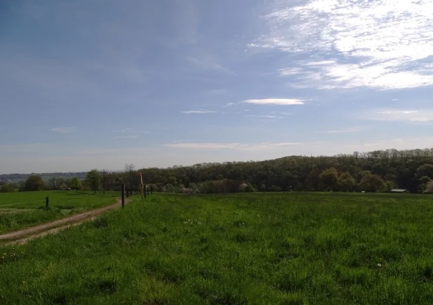 Kleinopitz 333 - Grundstück kaufen in Tharandt / Braunsdorf bei Tharandt - Landwirte aufgepasst - Potential für Ihren Betrieb