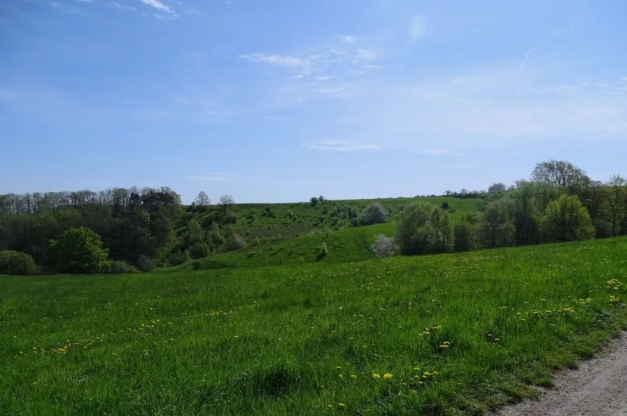 Saalhausen 56 - Grundstück kaufen in Freital / Saalhausen - Großes landwirtschaftliches Areal sucht neuen Eigentümer