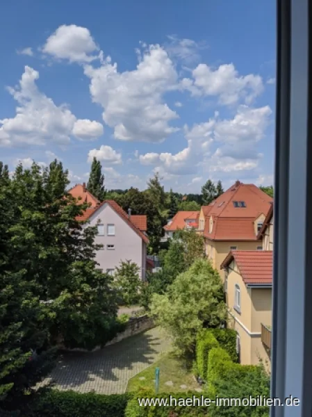 Blick aus dem Wohnzimmer