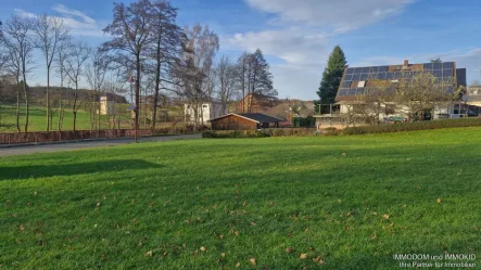 Blick auf das Grundstück - Grundstück kaufen in Hartmannsdorf bei Kirchberg - Baugrundstück in 08107 Hartmannsdorf zu verkaufen, randerschlossen!