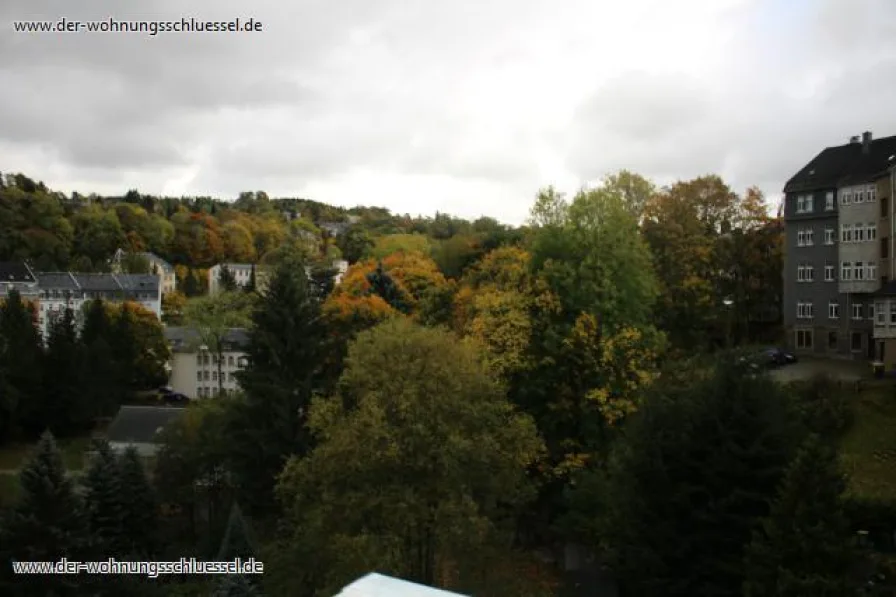 Ausblick - Wohnung mieten in Annaberg-Buchholz / OT Annaberg - Großzügige 2-Raumwohnung mit Terrasse