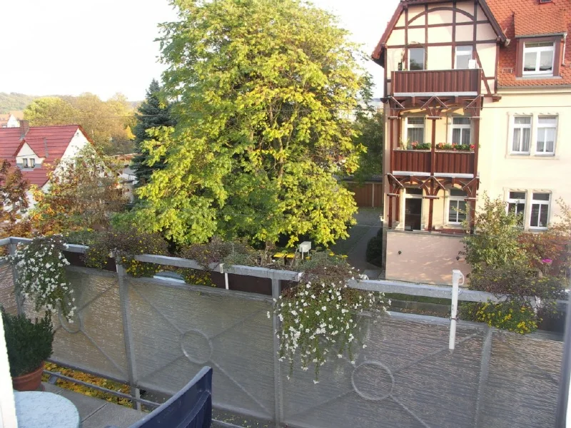 Blick vom Balkon - Wohnung kaufen in Dresden - GEPFLEGTE 3-ZIMMER WOHNUNG IN LAUBEGAST