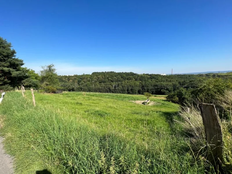 Aussicht ins Grüne - Grundstück kaufen in Bannewitz - RUHIGES BAUGRUNDSTÜCK MIT BLICK