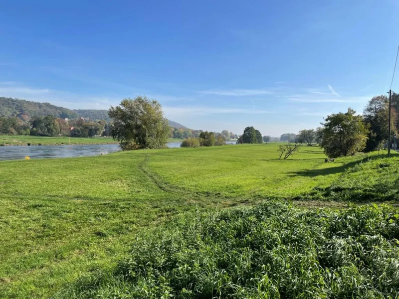 die Elbe fußläufig - trotzdem hochwassersicher