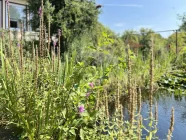 Gartenblick