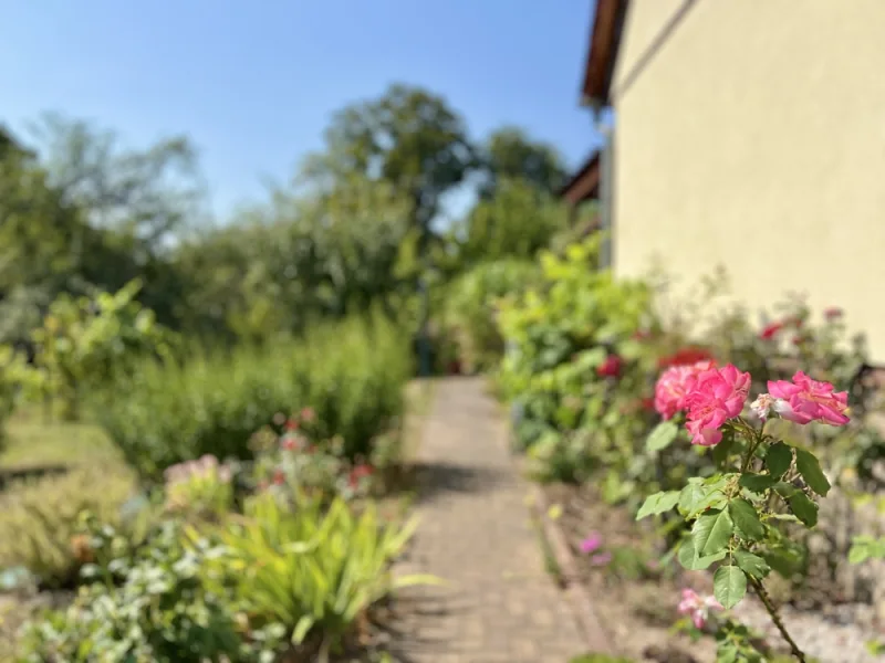 Gartenblick