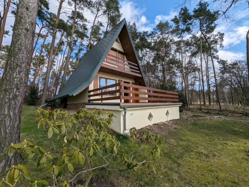 Vorderansicht - Haus kaufen in Schildau / Sitzenroda - idyllischer Bungalow mit unverbautem Blick