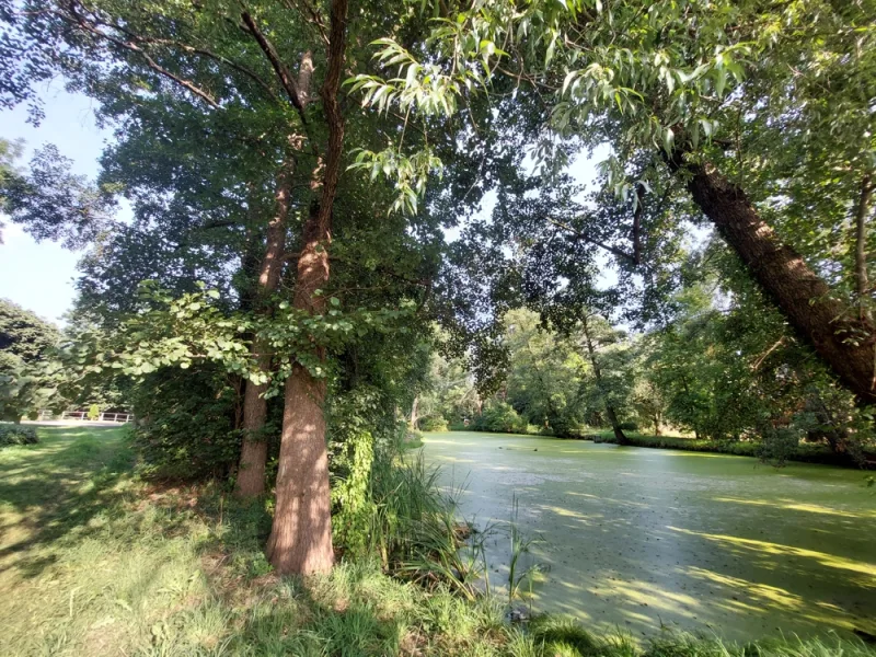 Schlosspark Teich