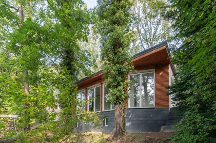 Ferienhaus - Haus kaufen in Colditz - ENTFLIEHEN SIE DEM ALLTAG // Ferienhaus in idyllischer Lage // privater Steg & Wasserzugang