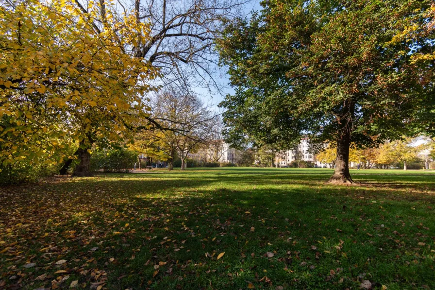 Park vor der Haustür