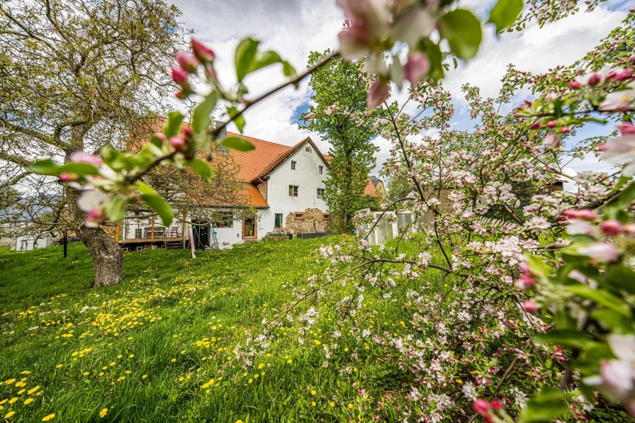 Colditz | Vierseitenhof - Wohnhaus