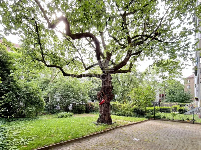 Leipzig - Schleußig | Garten