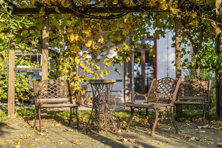 Schönwölkau OT Brinnis | Terrasse im Garten