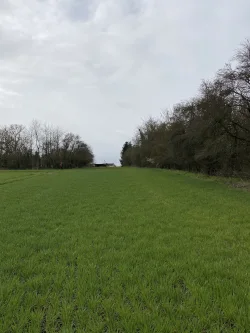 Flur 3, Flurstück 576-25 - Grundstück kaufen in Druxberge - Landwirtschaftsfläche in Druxberge zu verkaufen!