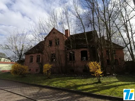 Straßenansicht 1 - Grundstück kaufen in Könnern - Baugrundstück in idyllischer Lage bei Könnern