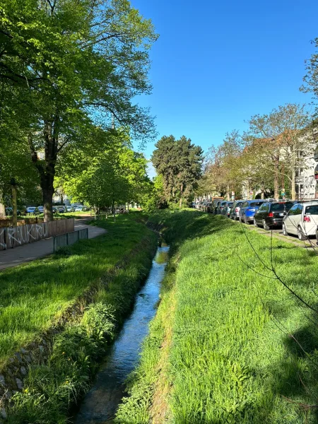 Schrote - Wohnung kaufen in Magdeburg - Magdeburg 4 Raum WE in Stadtfeld