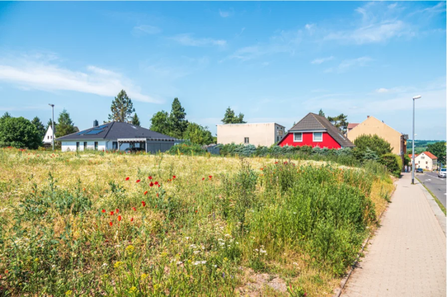 Startbild - Haus kaufen in Frankenberg - +++Ihre Chance zum Selbstverwirklichen: Reihenhaus in Frankenberg wartet auf Sie!+++Haus 2