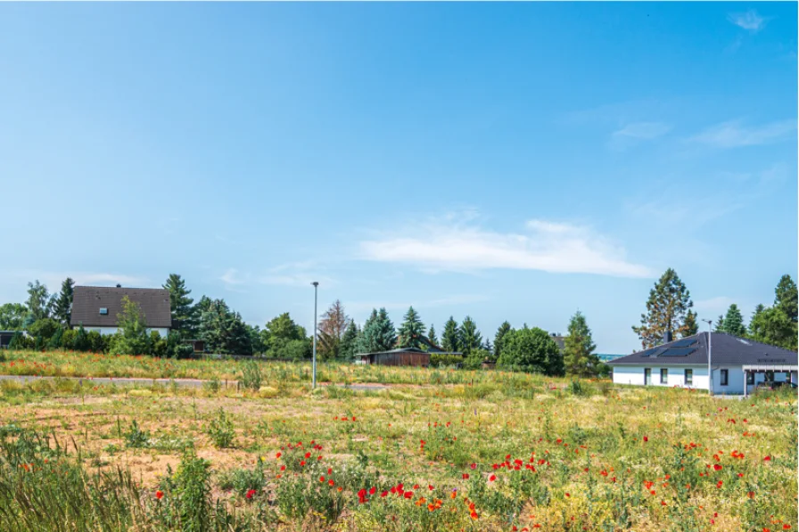 Startbild - Haus kaufen in Frankenberg - +++Modernes Wohnen zum Wohlfühlen: Ihr schlüsselfertiges Reihenhaus in Frankenberg+++Haus 5