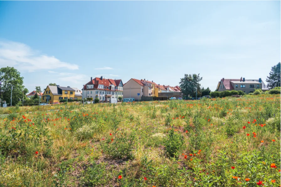 Startbild - Haus kaufen in Frankenberg - +++Modernes Wohnen zum Wohlfühlen: Ihr schlüsselfertiges Reihenhaus in Frankenberg+++Haus 1