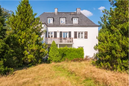 DSC09539-HDR - Haus kaufen in Chemnitz - Leerstehendes, vielseitig nutzbares Haus mit drei Etagen und tollem Außenbereich für Ihre Wohnideen