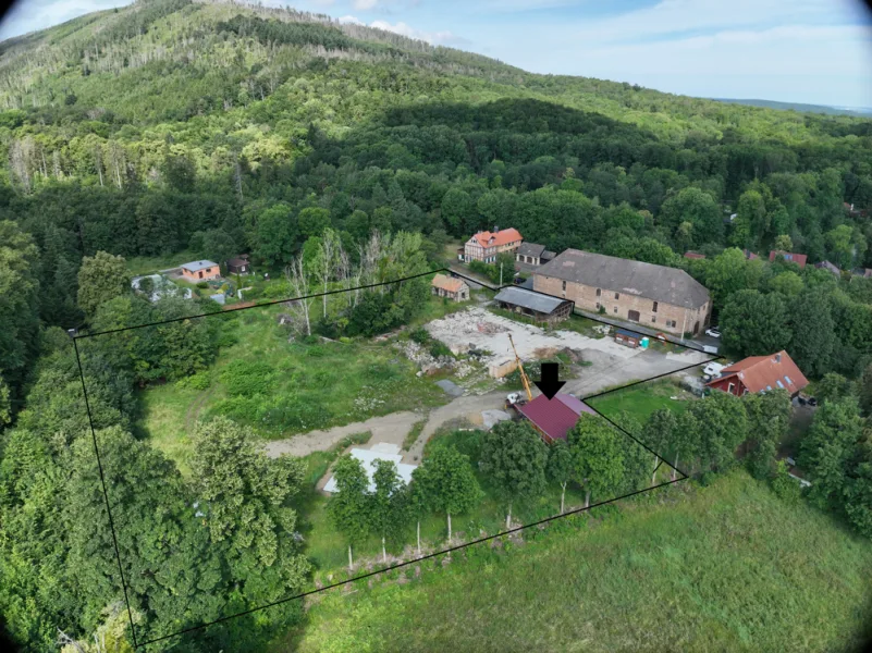 DJI_20240620100403_0023_V1 Pfeil - Haus kaufen in Darlingerode - Darlingerode/Harz- Musterhaus-10 Wohn-u.Ferienhäuser "Post & Beam" nach Wunsch-top Lage, ca.1000 m²!