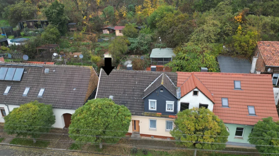 DJI_0263 1 - Haus kaufen in Quedlinburg - Wenn der Lack ab ist-kommt neuer dran! "Häuschen" in QLB+Nebengelass+380 m² Hanglage-Traust Du Dich?