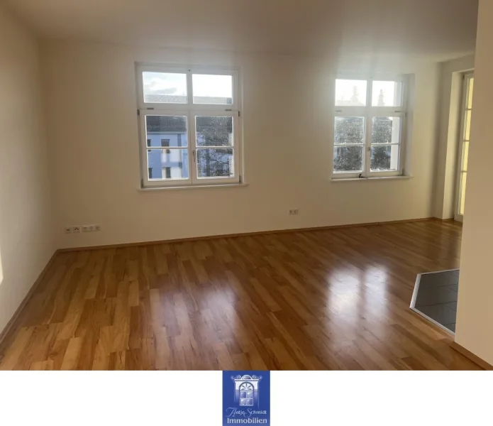 Wohnen - Wohnung mieten in Dresden - Gemütliche Wohnung mit Loggia und großzügigem Wohnzimmer!