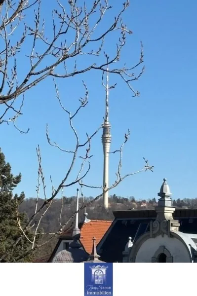 Blick - Wohnung mieten in Dresden - Erstbezug! Dachtraum über 2 Ebenen, Wintergarten, Klimaanlage, Lift hält in Wohnung!