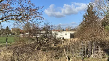 Südwest-Ausrichtung - Grundstück kaufen in Randau-Calenberge - Grundstück mit Potential