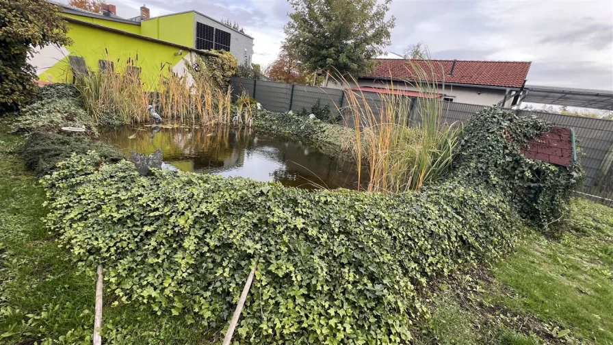 Gartenteich