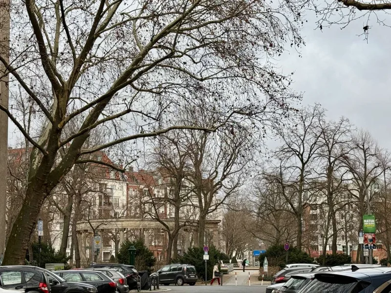 Ausblick Viktoria-Luise-Platz