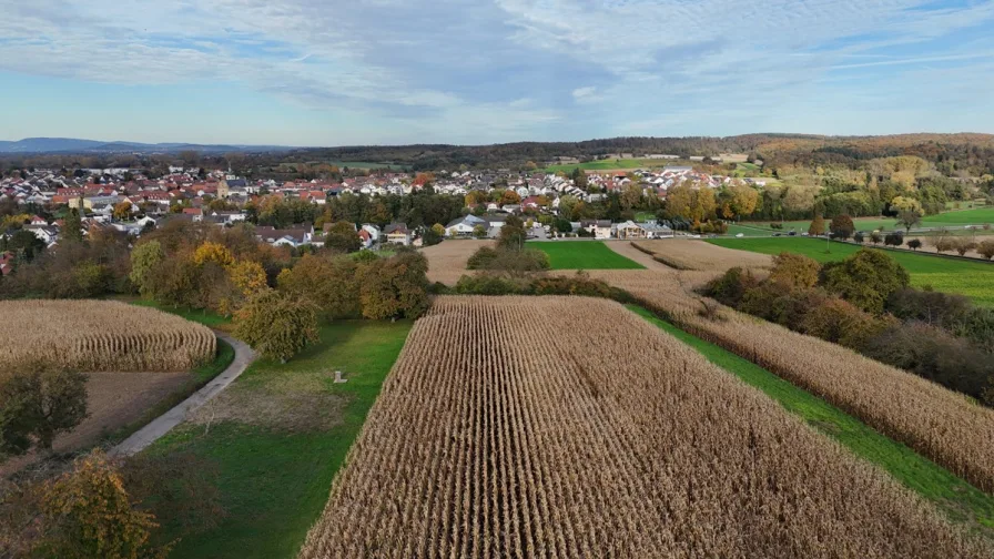 Blick vom geplanten Standort der Grundstücke