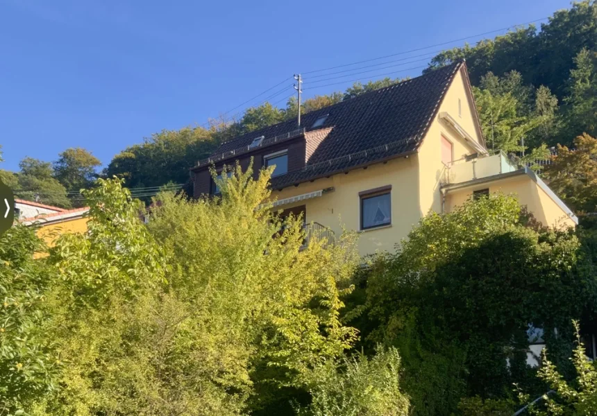 Hausansicht  - Haus kaufen in Heidelberg / Ziegelhausen - GLOBAL INVEST SINSHEIM | 5 Prozent Mietrendiete! 3-Familienhaus in toller Lage von Ziegelhausen mit unverbaubarem Blick ins Peterstal