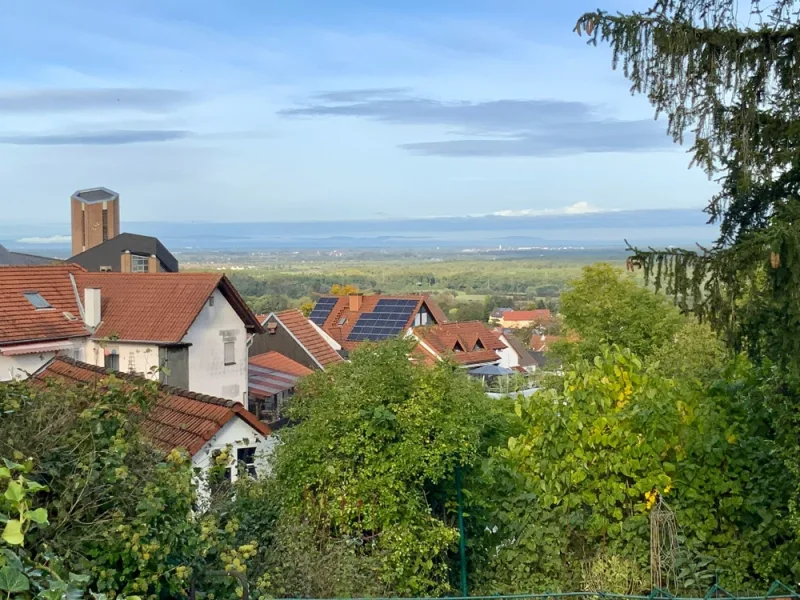 Ausblick Garten 