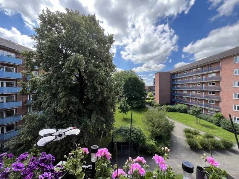 Ausblick - Wohnung kaufen in Kiel - Modernisierte 2-Zimmer-Wohnungmit Blick ins Grüne