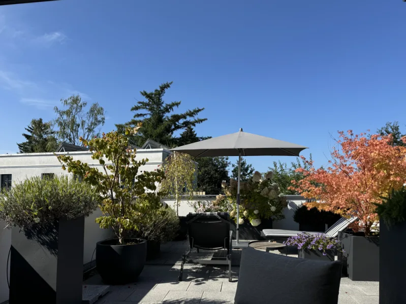 Dachterrasse im Sommer