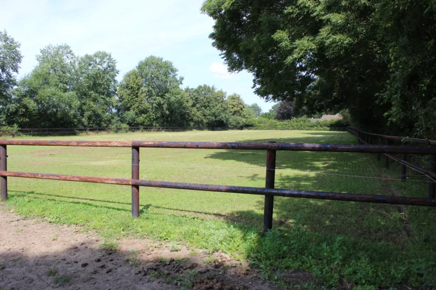 Weide oder Naturspringplatz