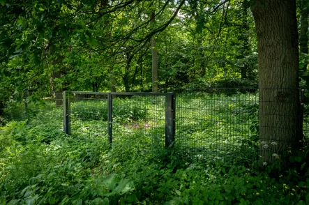 Letztes Baugrundstück in begehrter Lage von Hittfeld- Waldesruh - Grundstück kaufen in Seevetal - Hittfeld/Waldesruh - Letztes großzügiges Baugrundstück in begehrter Lage von Hittfeld - Waldesruh