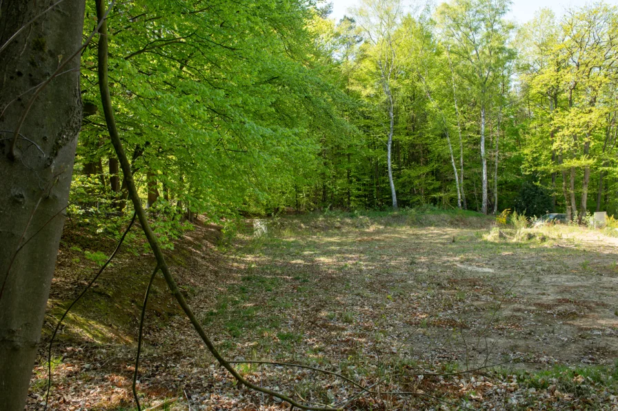 Ebenerdiges Grundstück in Hanglage